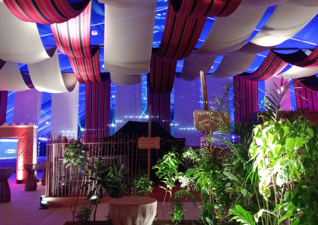 Image from the original WEDX media library